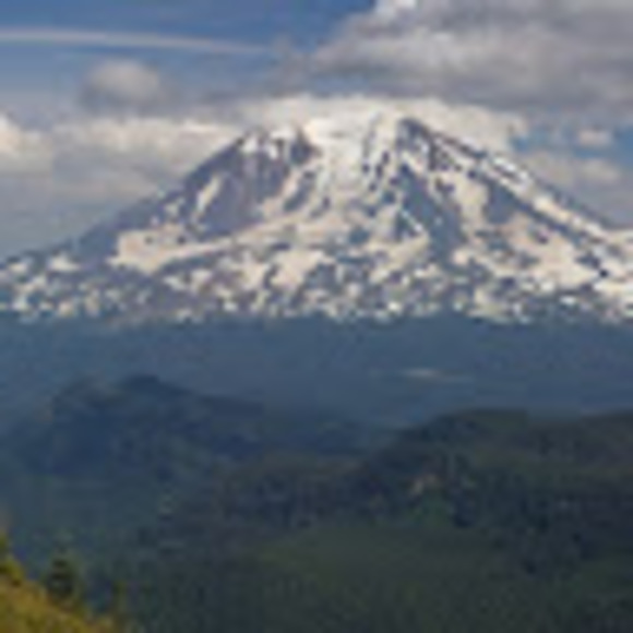 Meet your Posher, Adam - Picture 1 of 1